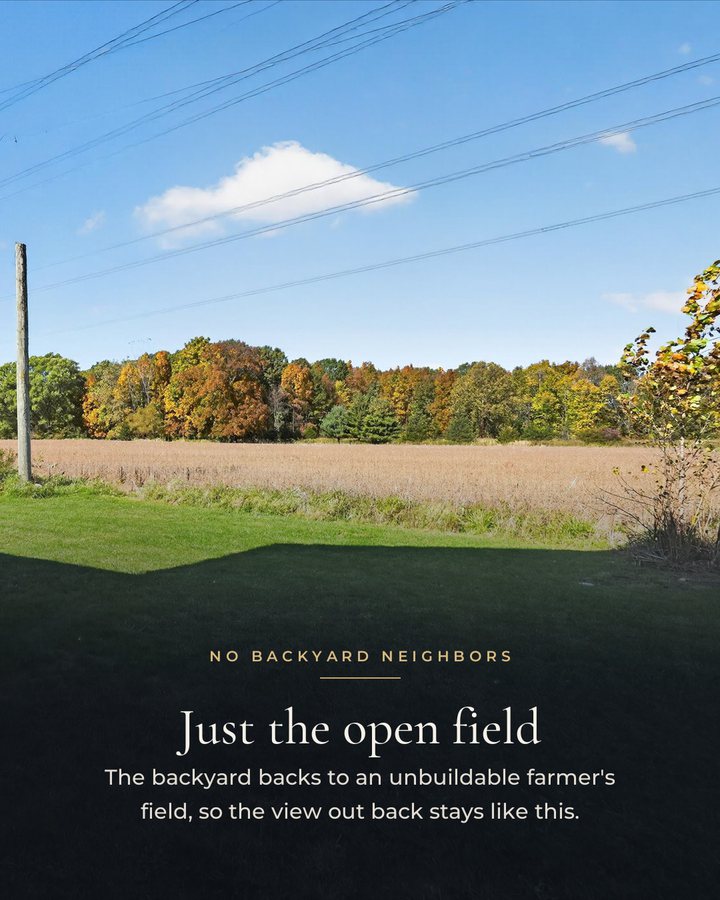 Slide 9: The open field behind the house